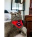 Anchor Red Kedi Bandana, Fular, Kedi Kıyafeti Kedi Elbisesi, Kedi Tasması