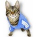 Bebek Mavisi Adidog Kapşonlu Kedi Sweatshirt Kedi Kazağı