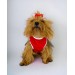 Berry Boo Atlet Köpek Kıyafeti  Köpek Elbisesi