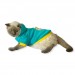 Blue Bear Kapşonlu Sweatshirt Kedi Süeteri Kedi Kıyafeti