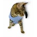 Blue Hersey Beck Kedi Elbisesi Kedi Kıyafeti