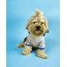 Blue Line Kapşonlu Sweatshirt Köpek Kıyafeti Köpek Elbisesi