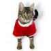Cat Santa Bow Yılbaşı Kedi Sweati