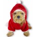 Gold Santa Yılbaşı Köpek Sweatshirt, Noel Sweatshirt