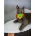 Green Bunny Kedi Bandana, Fular, Kedi Kıyafeti Kedi Elbisesi, Kedi Tasması