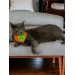 Green Bunny Kedi Bandana, Fular, Kedi Kıyafeti Kedi Elbisesi, Kedi Tasması