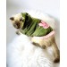 Greenco Bunny Kapsonlu Sweatshirt Kedi Elbisesi Süeteri Kedi Kıyafeti