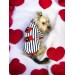 Hediye Paketli, Anneye Hediye, Love Mom Stripe Oval Yaka Tişört Köpek Kıyafeti Köpek Elbisesi, Anneler Günü, Anne