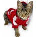 Kırmızı Adidog Kapşonlu Kedi Sweatshirt Kedi Kazağı Duo