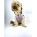 Light Purple Bb Atlet Köpek Kıyafeti  Köpek Elbisesi