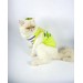 Lime Fuzz Atlet Kedi Kıyafeti Kedi Elbisesi