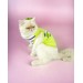 Lime Fuzz Atlet Kedi Kıyafeti Kedi Elbisesi