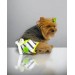 Lime Fuzz Kemique's Secret Köpek İç Çamaşırı Regl Külot Don