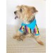 Mavi̇ Gökkuşaği Polo Yaka Tişört Summer T Köpek Kıyafeti,Elbisesi