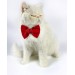 Mini Rouge Kedi Papyonu Kurdela Tasma Yılbaşı Noel