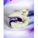 Mor Sevimli Fare Kemique's Secret Kedi İç Çamaşırı  Regl Külot  Don