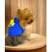 Navy Bee Oval Yaka Tişört Köpek Kıyafeti Köpek Elbisesi