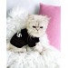 Patron Boss Siyah Kedi Tişörtü Kedi Kıyafeti Kedi Elbisesi