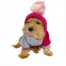 Pink Amigo Kapşonlu Sweatshirt Köpek Kıyafeti Köpek Elbisesi