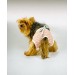 Pink Shine Kemique's Secret Köpek İç Çamaşırı Regl Külot Don