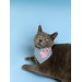 Pink Teddy Kedi Bandana, Fular, Kedi Kıyafeti Kedi Elbisesi, Kedi Tasması