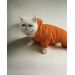 Pro Orange Duo Polar Kapşonlu Kedi Tulumu Kıyafeti