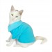 Rl Baby Blue White Polo Yaka Tişört Kedi Kıyafeti  Kedi Elbisesi