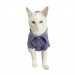 Rl Denim Blue Polo Yaka Tişört Kedi Kıyafeti  Kedi Elbisesi
