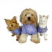 Rl Denim Blue Polo Yaka Tişört Köpek Kıyafeti Köpek Elbisesi