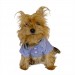 Rl Denim Blue Polo Yaka Tişört Köpek Kıyafeti Köpek Elbisesi