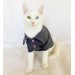 Rl Grey Neon Polo Yaka Tişört Kedi Kıyafeti  Kedi Elbisesi