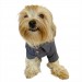 Rl Grey Neon Polo Yaka Tişört Köpek Kıyafeti Köpek Elbisesi