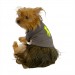 Rl Grey Neon Polo Yaka Tişört Köpek Kıyafeti Köpek Elbisesi