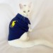 Rl Navy Yellow Polo Yaka Tişört Kedi Kıyafeti  Kedi Elbisesi