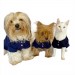 Rl Navy Yellow Polo Yaka Tişört Köpek Kıyafeti Köpek Elbisesi