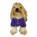 Rl Purple Yellow Polo Yaka Tişört Köpek Kıyafeti Köpek Elbisesi