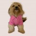 Rl Toz Pembe Polo Yaka Tişört Köpek Kıyafeti Köpek Elbisesi