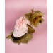 Rosie Rose Tişört Köpek Kıyafeti Köpek Elbisesi Köpek Kostümü
