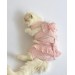 Rosie Rose Tişört Ve İç Çamaşırı Set Kedi Kıyafeti Kedi Kostümü