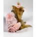 Rosie Rose Tişört Ve İç Çamaşırı Set Köpek Kıyafeti Köpek Kostümü