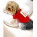 Santa And Friend Rudolph  Köpek Tişörtü Yılbaşı Noel Christmas Köpek Elbisesi