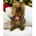Santa Neo Köpek Papyonu Kurdela Tasma Yılbaşı Noel
