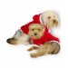 Santa Time Yılbaşı Köpek Sweatshirt, Noel Sweatshirt Gold