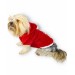Santa Time Yılbaşı Köpek Sweatshirt, Noel Sweatshirt Gold