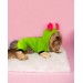 Shipy Pink Stripe Kulaklı Duo Köpek Tulumu Kıyafeti