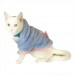 Softie Blue Bunny Kapsonlu Sweatshirt Kedi Süeteri Kedi Kıyafeti
