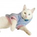 Softie Blue Bunny Kapsonlu Sweatshirt Kedi Süeteri Kedi Kıyafeti