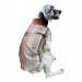 Stripe Orange Köpek Ceketi, Orta Ve Büyük Irklar Için