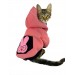 Student Rabbit Sweatshirt Kedi Kıyafeti Kedi Elbisesi