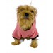 Student Rabbit Sweatshirt Köpek Kıyafeti Köpek Elbisesi